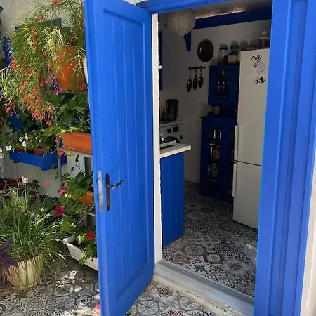 Authentic House