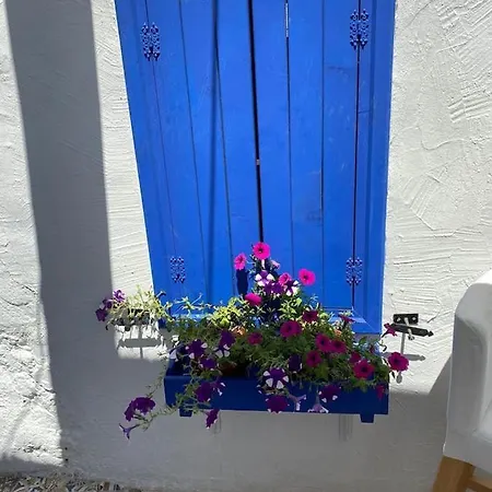 Authentic House *